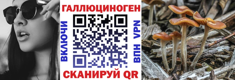 Галлюциногенные грибы мицелий  Кыштым 